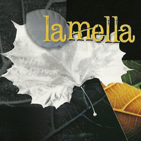 Lamella